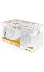 Harry Potter: Set de 2 vasos Gryffindor & Slytherin
