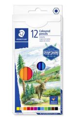 Colores Largos Caja X 12