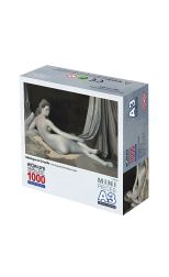 Rompecabezas Mini 1000 Odalisque in Grisaille de Jean Dominique