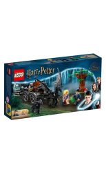 LEGO Harry Potter Carruaje y Thestrals de Hogwarts 76400