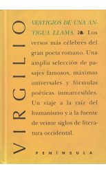 Vestigios de una Antigua Llama