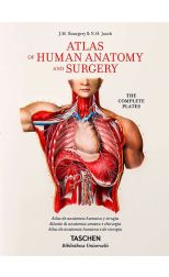 Atlas Of Human Anatomy And Surgery