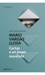 Carta a un Joven Novelista