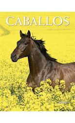 Caballos