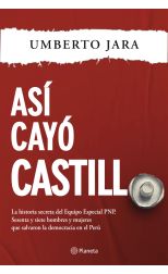 Así cayó Castillo