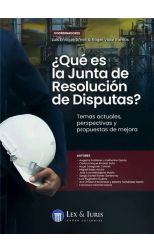 ¿Qué es la Junta de Resolución de Disputas?