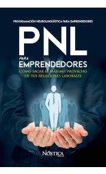 Pnl Para Emprendedores