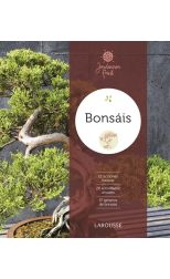 Bonsáis