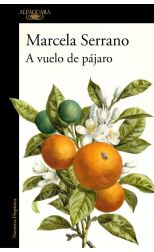 A vuelo de pájaro