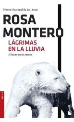 Lágrimas en la Lluvia
