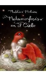 Metamorfosis en el Cielo