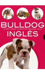 Bulldog Ingles