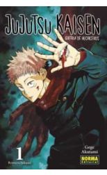 Jujutsu Kaisen 1