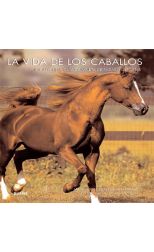 La Vida de los Caballos