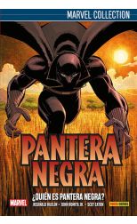 Pantera Negra de Reg.Hudlin 1 Marvel Magnet