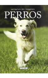 Perros. Animales en Imágenes