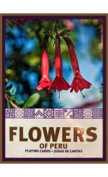 Casinos Flowers of Peru
