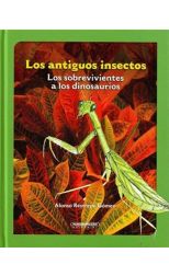Los Antiguos Insectos: los Sobrevivientes a los Dinosaurios