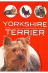 Yorkshire Terrier. Historia. Higiene. Alimentación. Educación y Salud