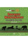 Bosques Montañosos