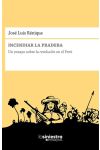 Incendiar la Pradera. un Ensayo Sobre la Revolución en el Perú