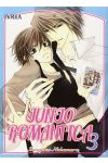 Junjo Romantica 03