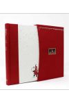 Cartas de Papa Noel. Edicion de Lujo