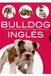 Bulldog Ingles
