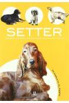 Setter. Historia. Higiene. Alimentación. Educación y Salud