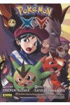 Pokémon XY 4